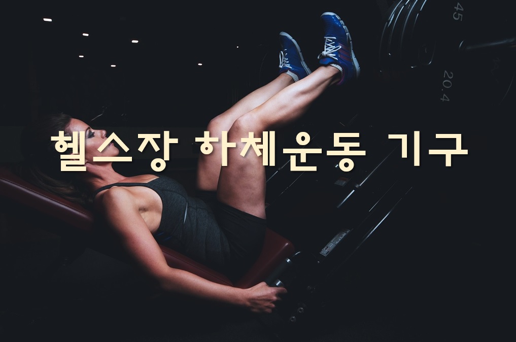  헬스장 하체운동 기구와 하체운동 종류