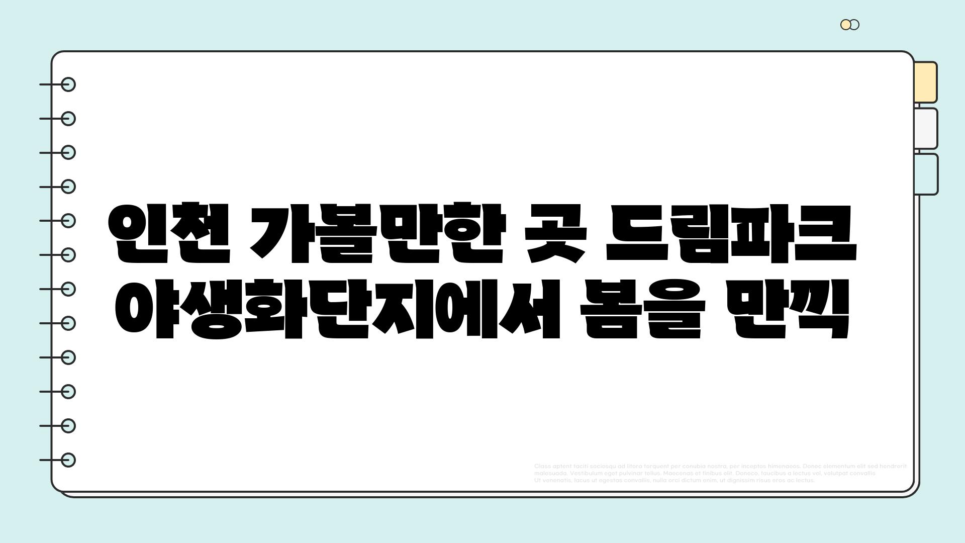 인천 가볼만한 곳 드림파크 야생화단지에서 봄을 만끽