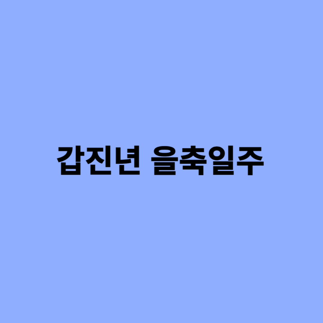갑진년 을축일주