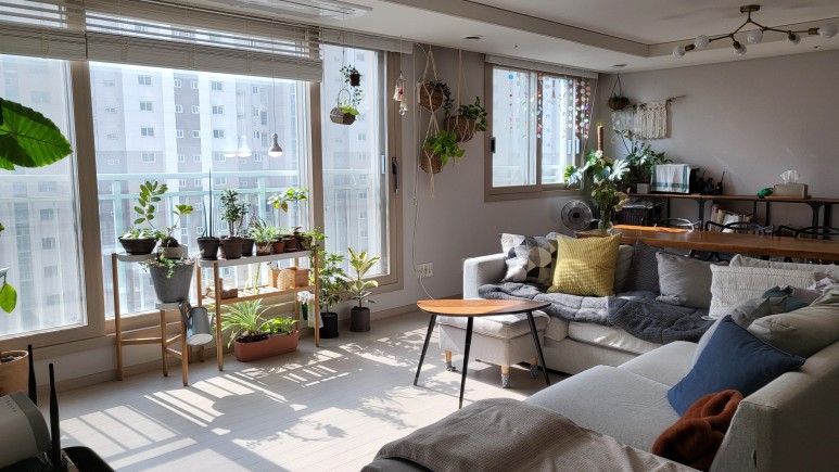 퓨처 그린 식물등으로! 7