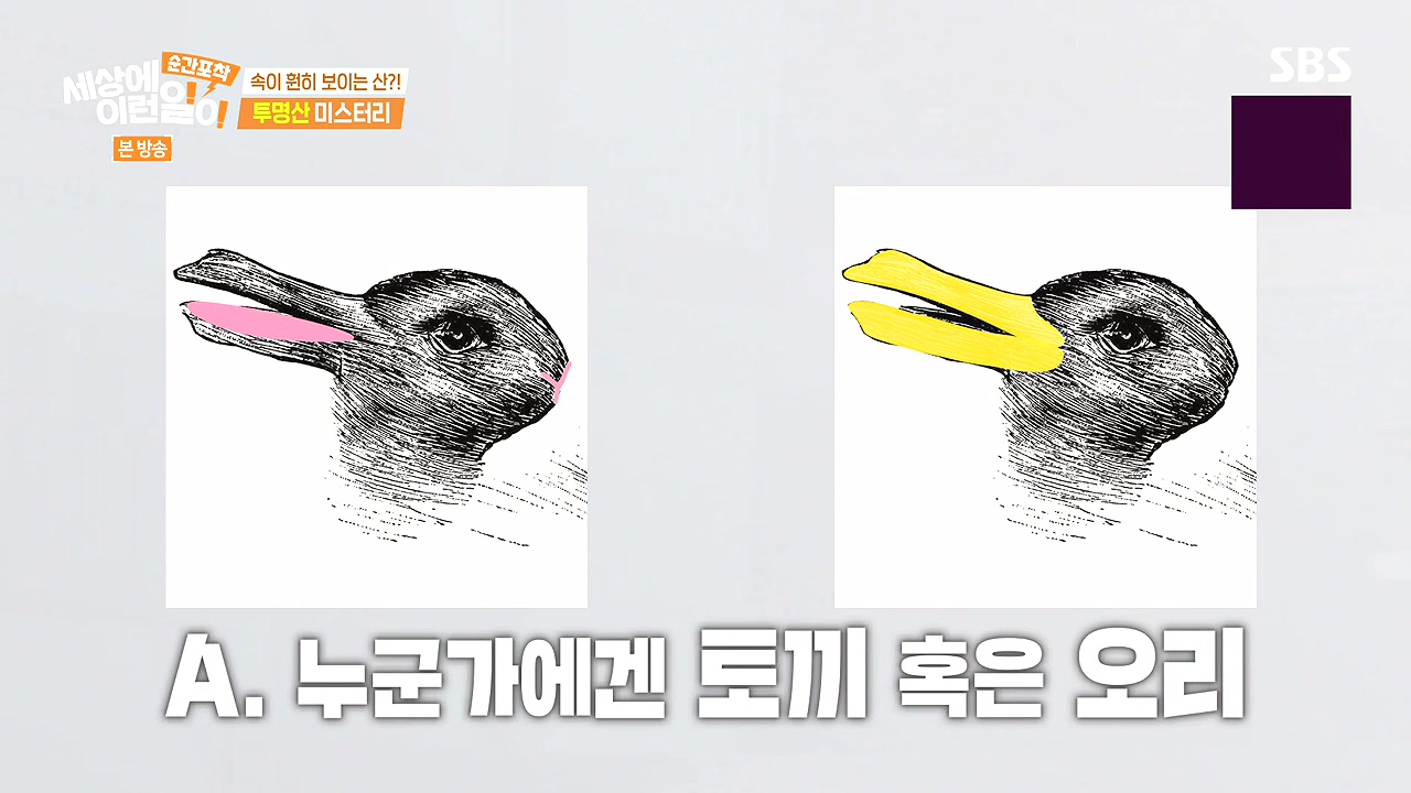 순간포착 세상에 이런일이.E1272.240407p-NEXT.mp4_20240407_173942.569.jpg
