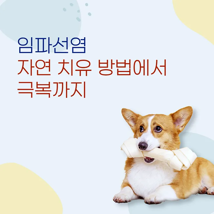  임파선염 원인 증상, 자연 치유 방법에서 극복까지