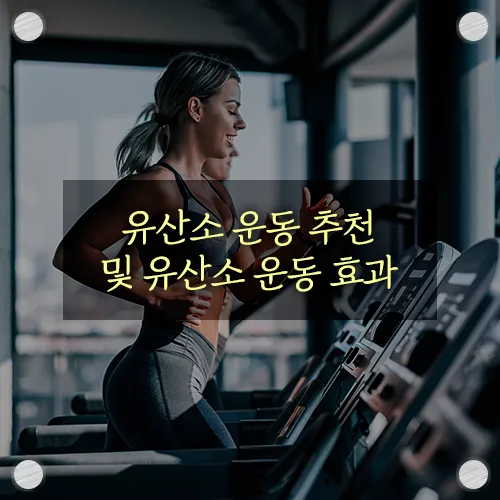 유산소 운동 추천