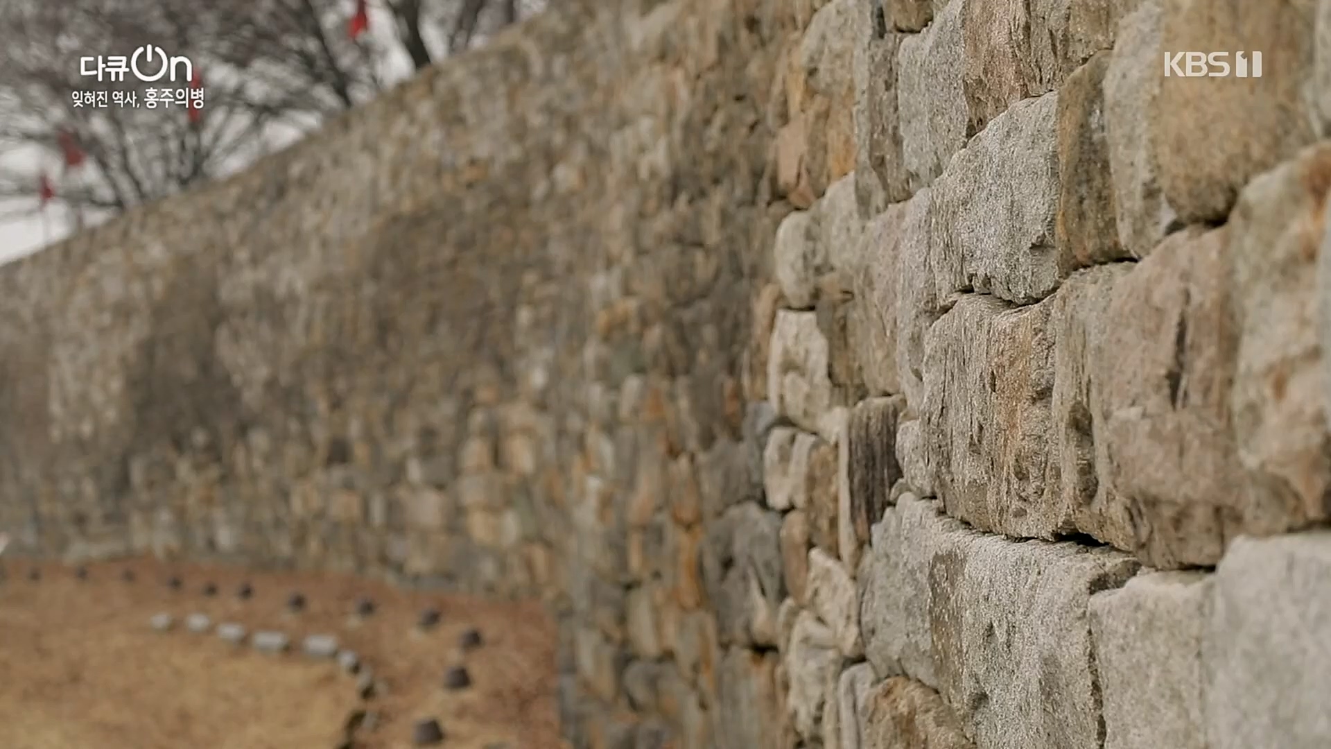 다큐 On.E187.230224p.H264-F1RST.mp4_20230225_174704.287.jpg