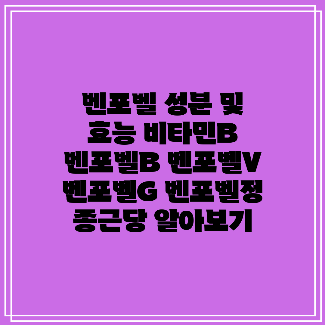 벤포벨 성분 및 효능 비타민B 벤포벨B 벤포벨V 벤포벨