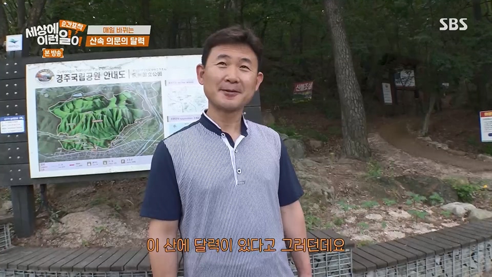 순간포착 세상에 이런일이.E1236.230708p.H264-F1RST.mp4_20230709_171130.992.jpg