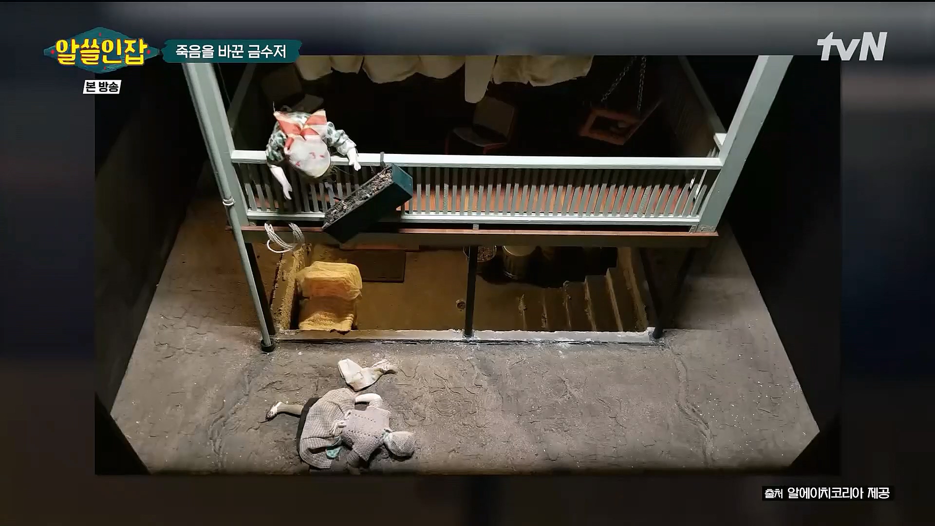 알쓸인잡.E06.230106p.H264-F1RST.mp4_20230123_111642.742.jpg