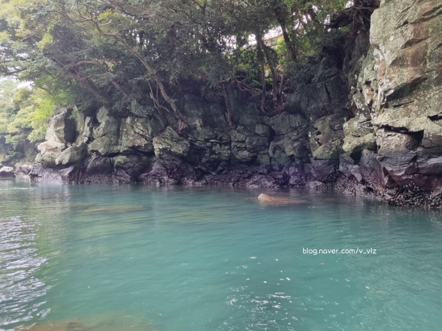 함께라면 전통테우 탑승 후기 제주 쇠소깍 어린 아이들과 29
