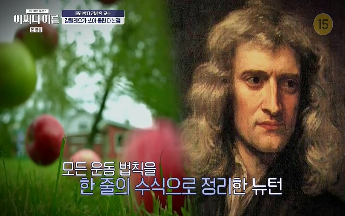 어쩌다 어른.E02.220617p-NEXT.mp4_20220828_142259.266.jpg