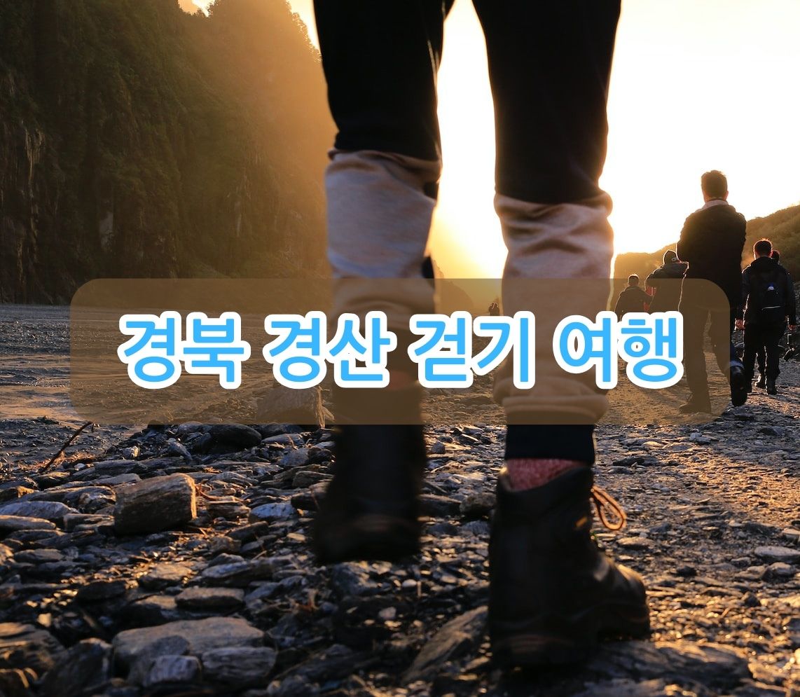 경북 경산 걷기 여행 및 현지인 맛집 리스트
