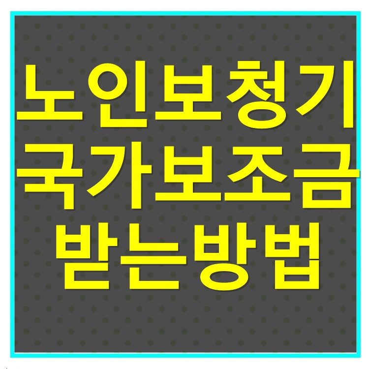  노인 보청기 국가 보조금 지원 신청 대상 신청 방법 알아보기 (보청기 보장구 처방전?)