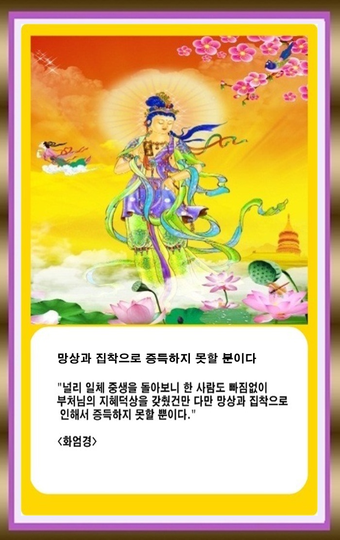 [오늘의 부처님 말씀] -망상과 3