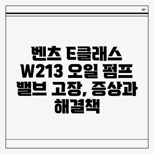 벤츠 E클래스 W213 오일 펌프 밸브 고장, 증상과 해결책