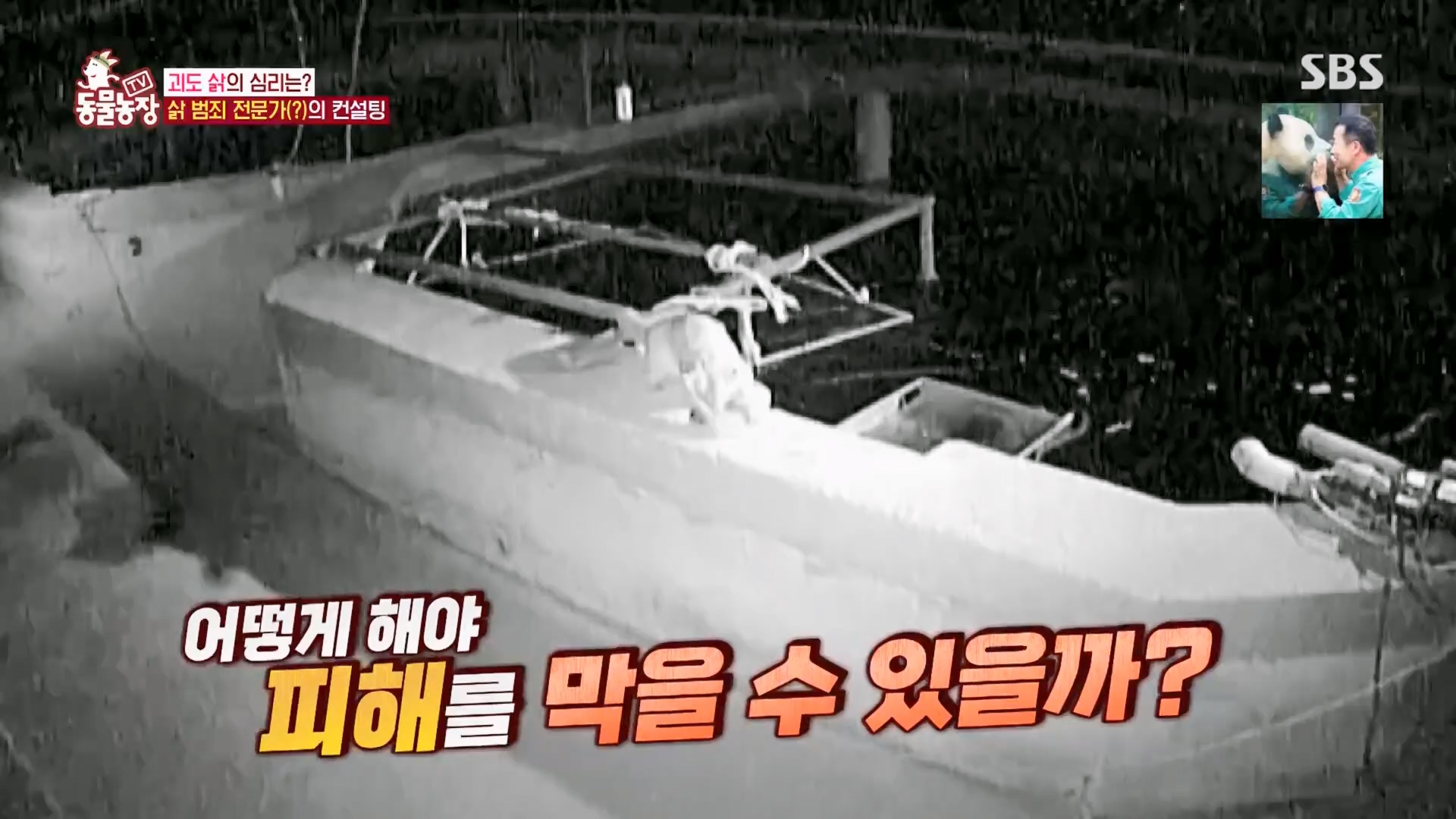TV 동물농장.E1165.240331p.H264-F1RST.mp4_20240331_144349.679.jpg