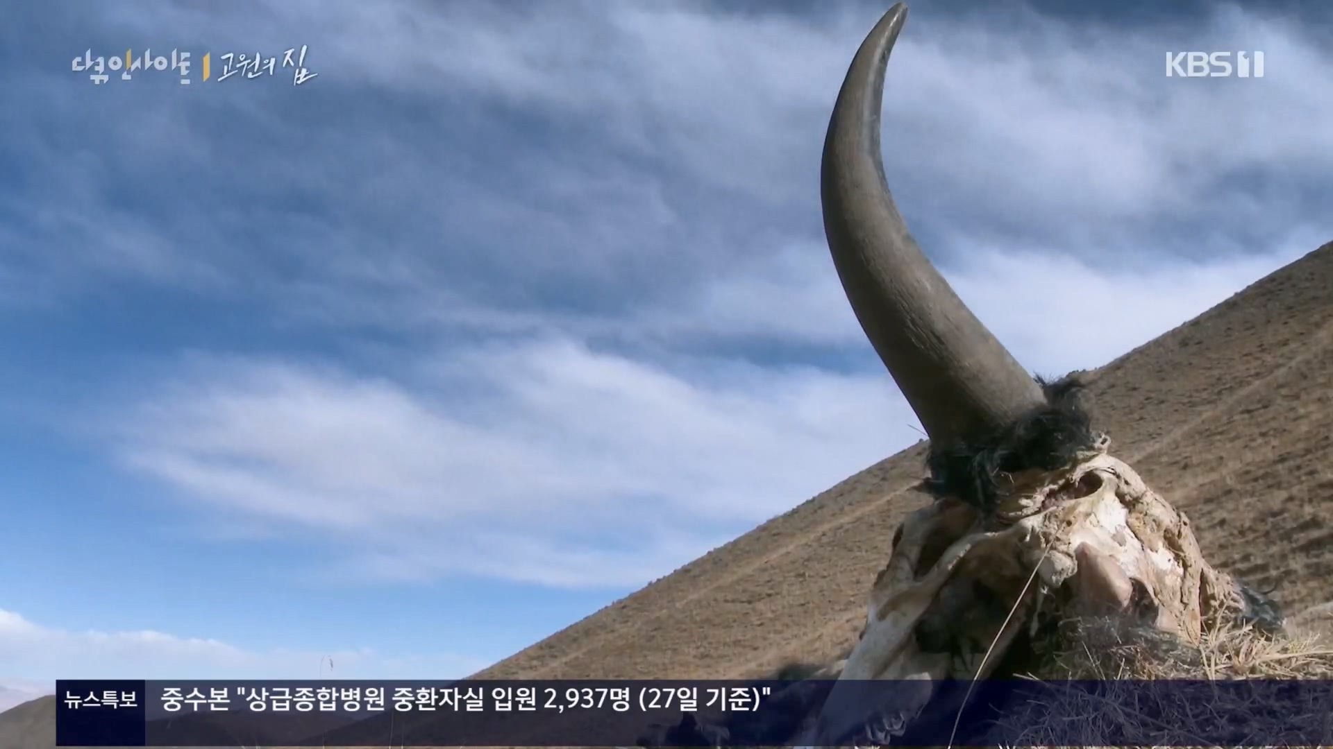 다큐 인사이트.E176.240328p.H264-F1RST.mp4_20240330_162621.631.jpg
