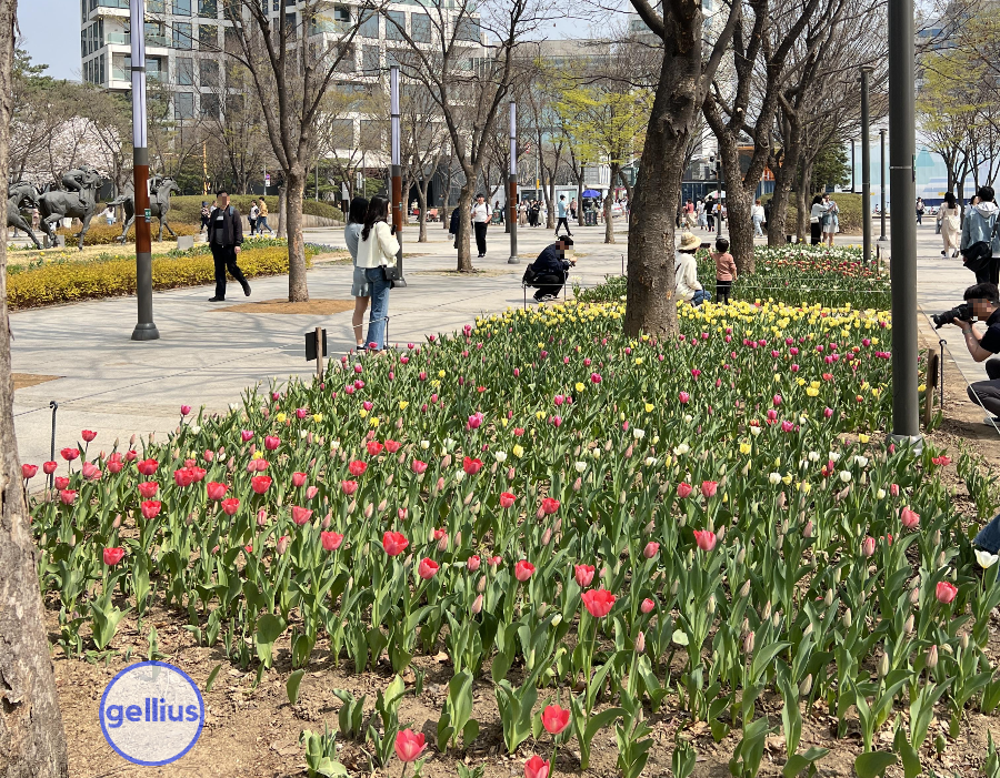 서울숲 살펴 볼 장소 첫번째&#44; 튤립