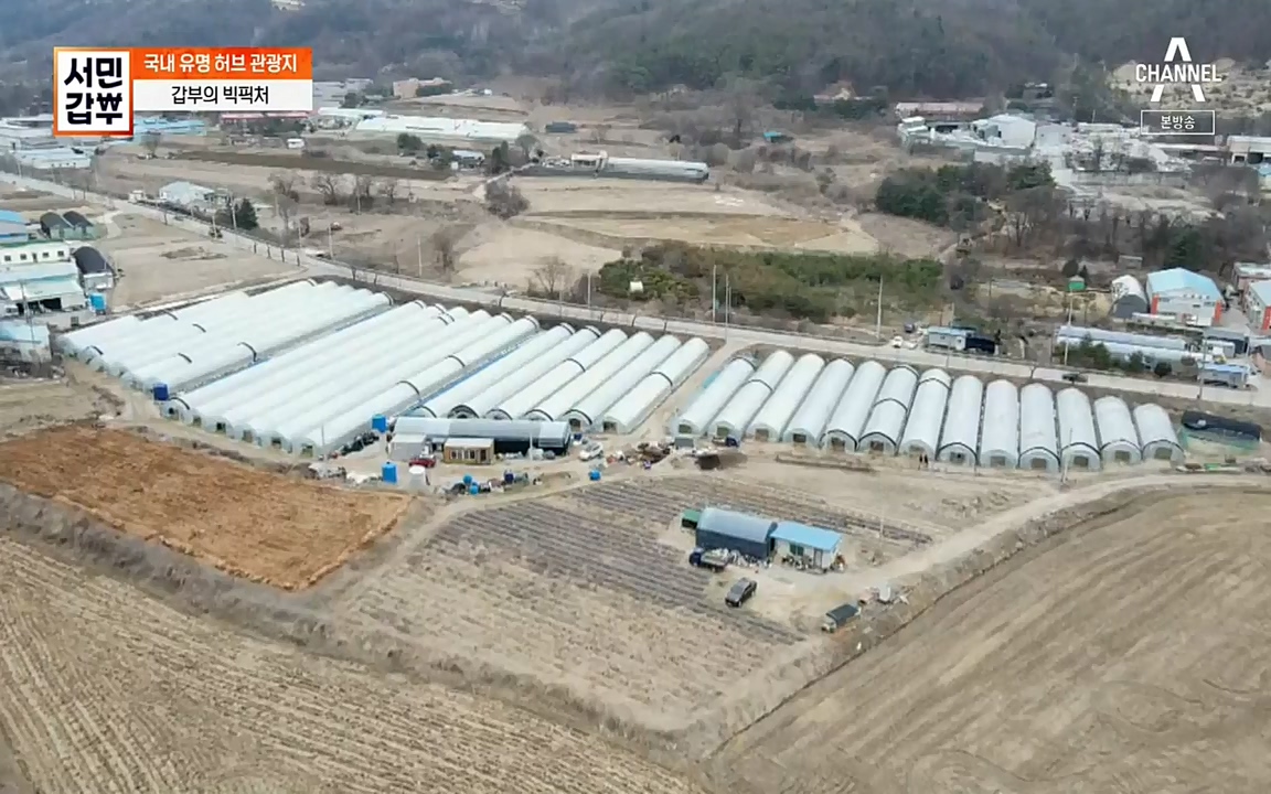 서민 갑부.E380.220424p-NEXT.mp4_20220424_184345.433.jpg
