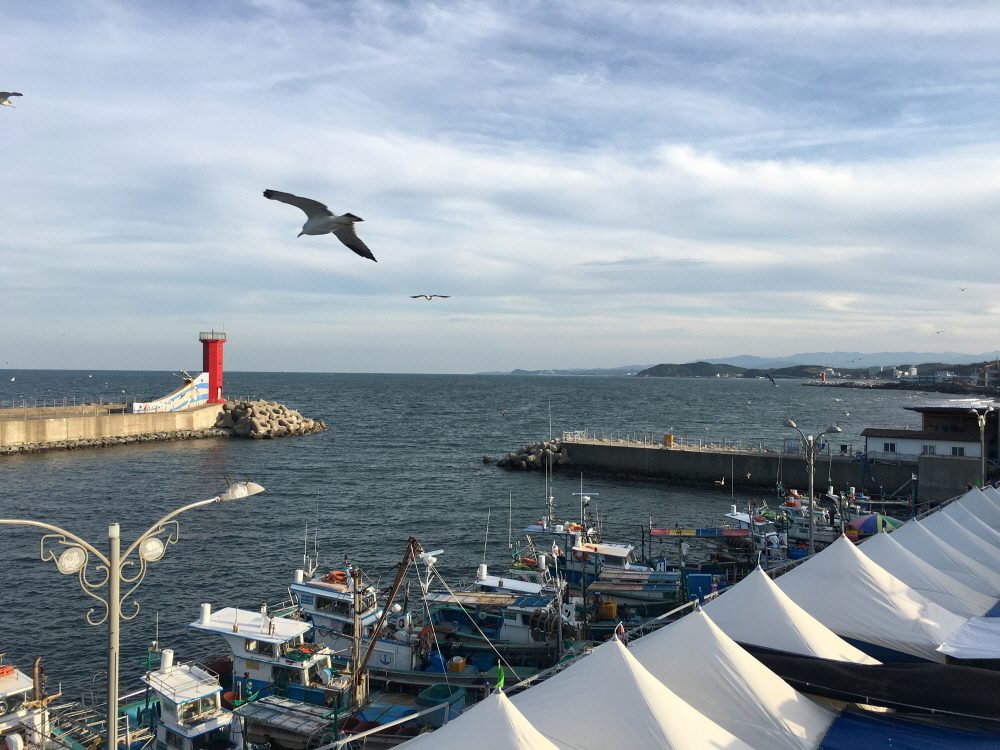 속초 설악항