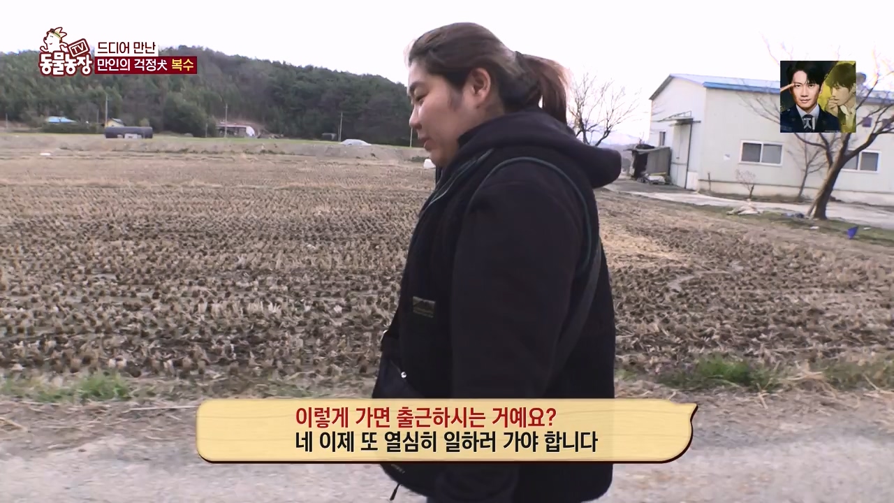 TV 동물농장.E1173.240527p-NEXT.mp4_20240526_155722.600.jpg