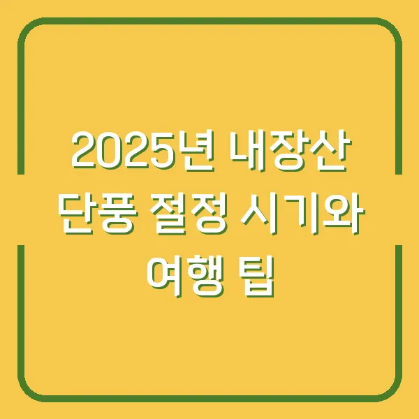 2025년 내장산 단풍 절정 시기와 여행 팁