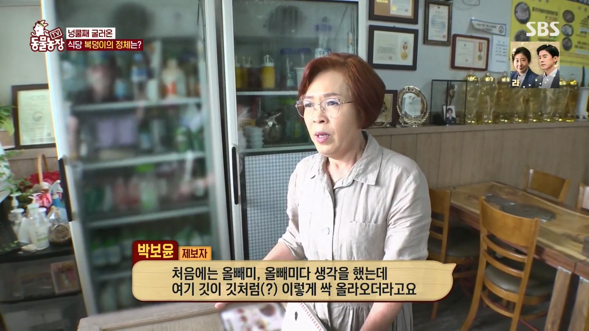TV 동물농장.E1139.230924p.H264-F1RST.mp4_20230924_165934.767.jpg