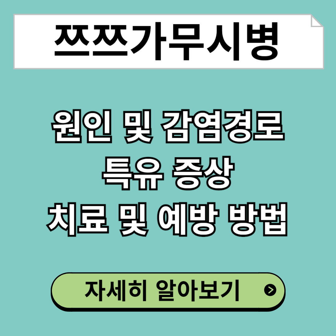 쯔쯔가무시병의 원인 및 감염경로, 특유 증상, 치료 및 예방 방법