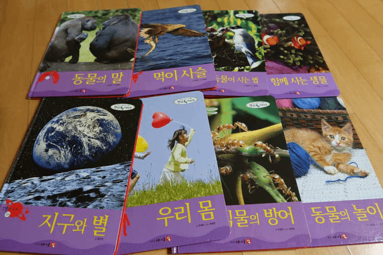 6번쨰 섹션책들사진
