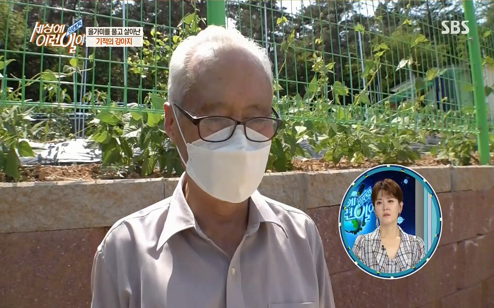 순간포착 세상에 이런일이.E1184.220614p.H264-F1RST.mp4_20220615_201705.182.jpg