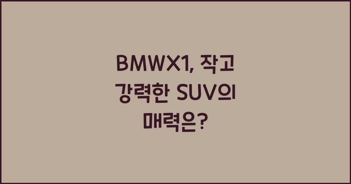 BMWX1