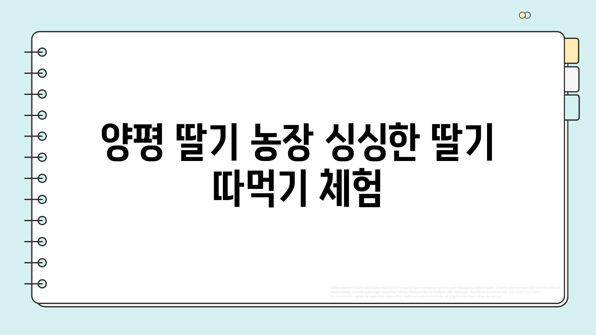 양평 딸기 농장 싱싱한 딸기 따먹기 체험