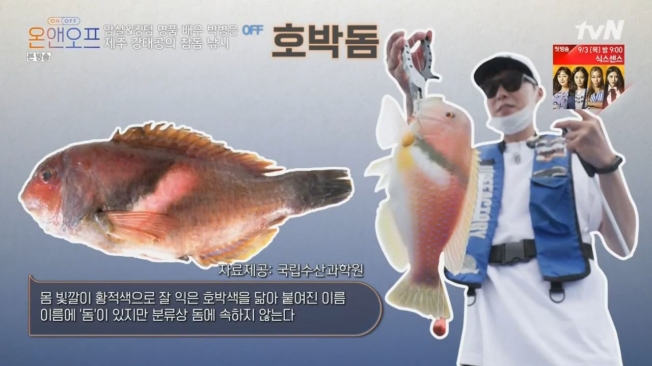 온앤오프 박병은 제주도 연세 살이 흑돼지구이 맛집