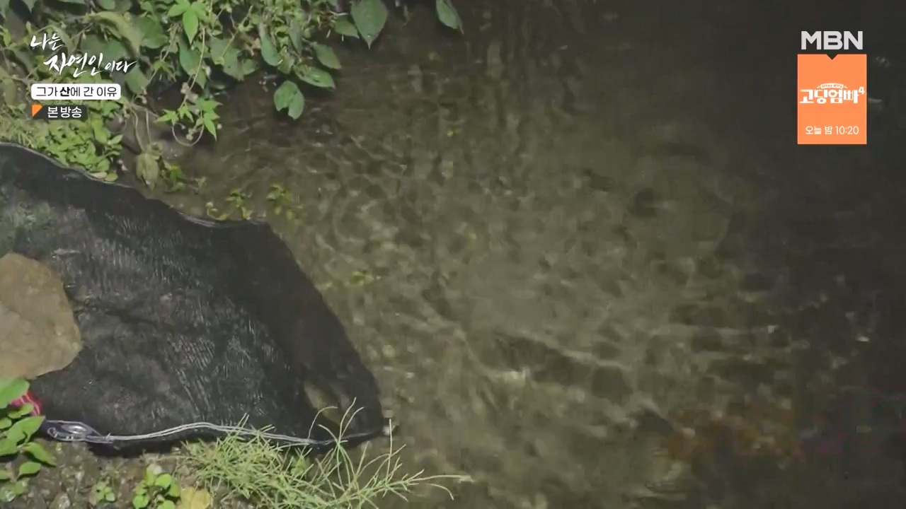 나는 자연인이다.E575.231012p-NEXT.mp4_20231012_201007.609.jpg