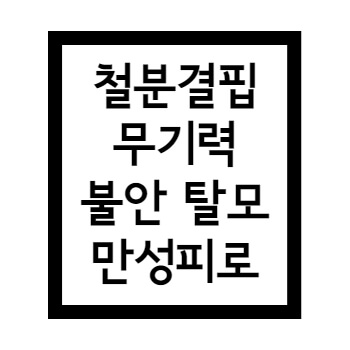 무기력 불안 탈모 구내염 만성피로 원인은 철분결핍 철분관리해야해