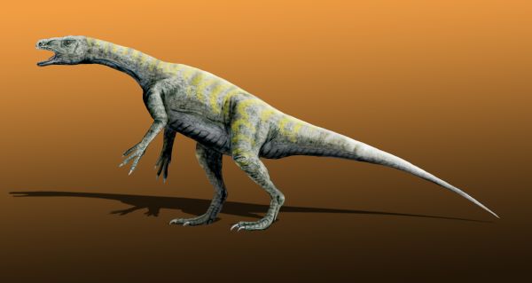 판파기아(Wikimedia Commons)&#44; 용반목&#44; 용각류에 속하는 잡식성 공룡으로 중생대 트라이아스기 후기 남아메리카에 살았다