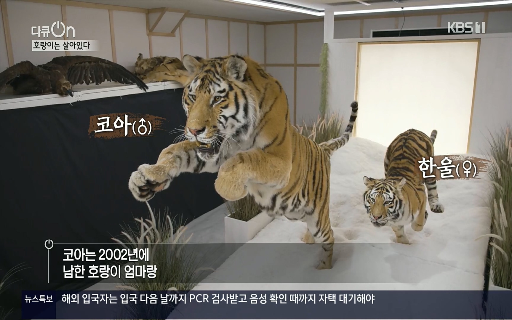 다큐 On.E150.220729p.H264-F1RST.mp4_20220730_164037.381.jpg