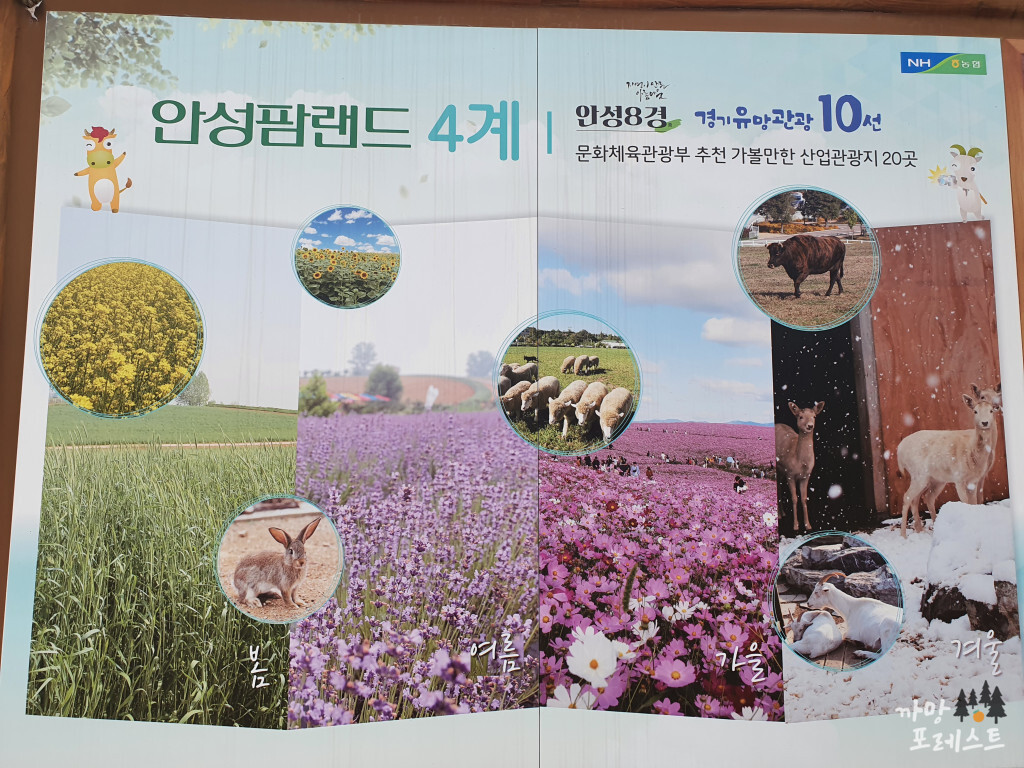 안성 팜랜드 사계절