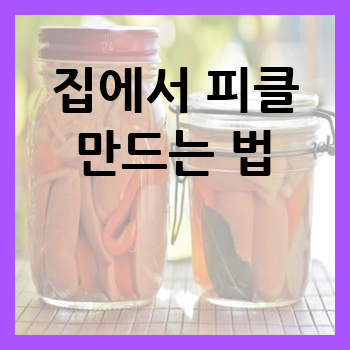 집에서 피클 만드는 법