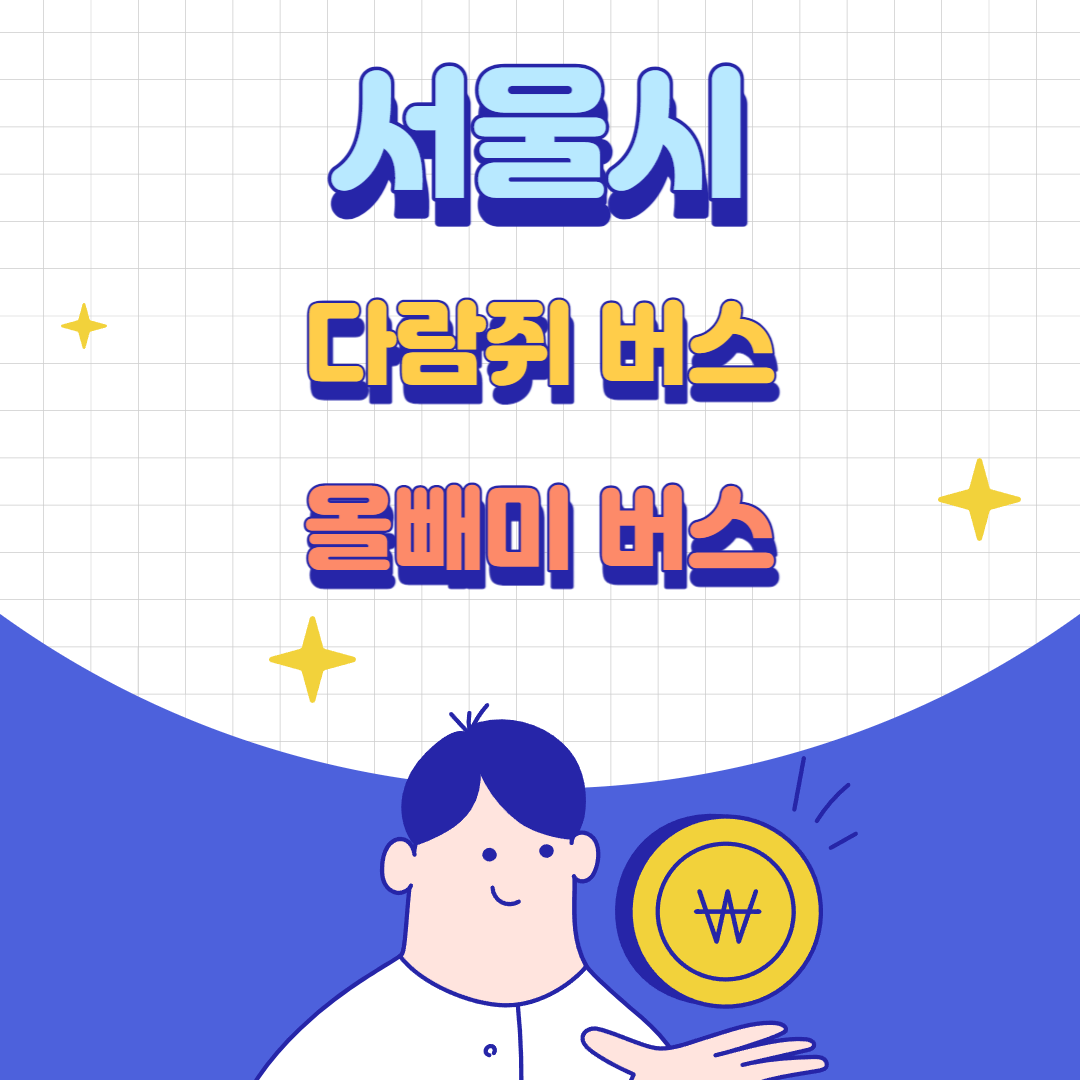  서울시 출퇴근맞춤버스(다람쥐버스) 심야버스(올빼미버스)노선 출근길