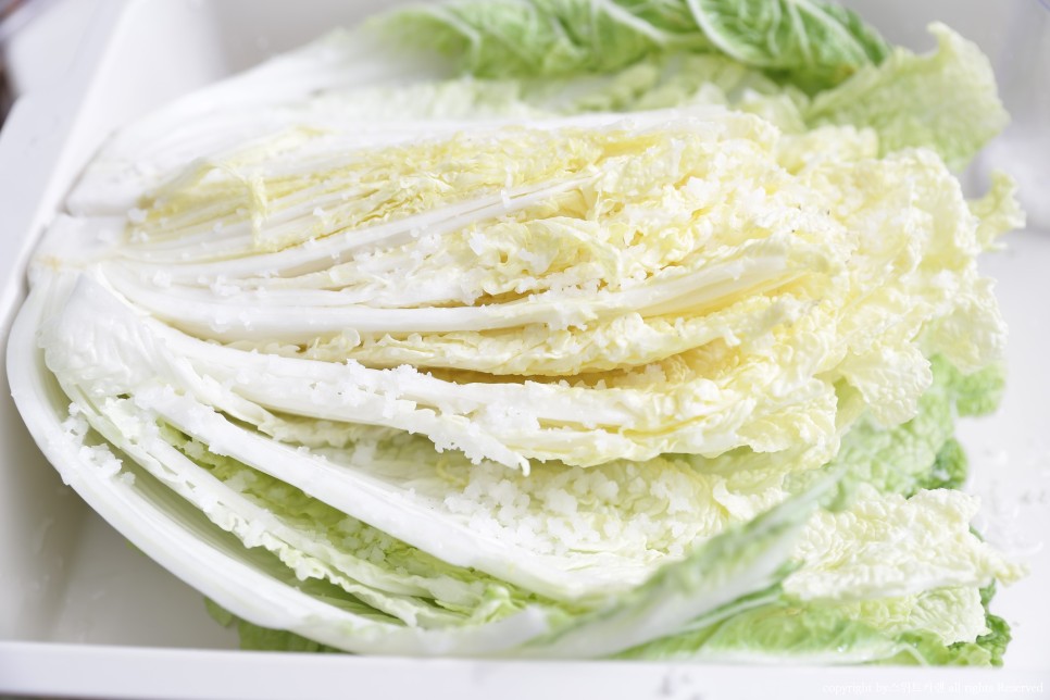 짠맛 김장봉투로 간단하게 속이 꽉 찬 배추절임 배추절임 시간 22