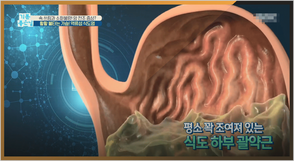 식습관 이미지