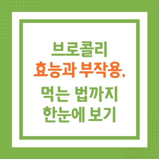 브로콜리 효능과 부작용, 먹는 법까지 한눈에 보기