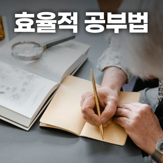 효율적 공부법