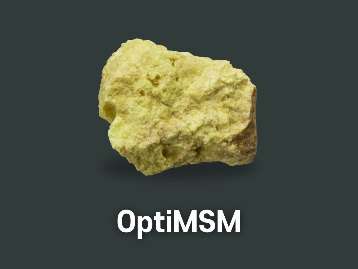 옵티머스트(OptiMSM)