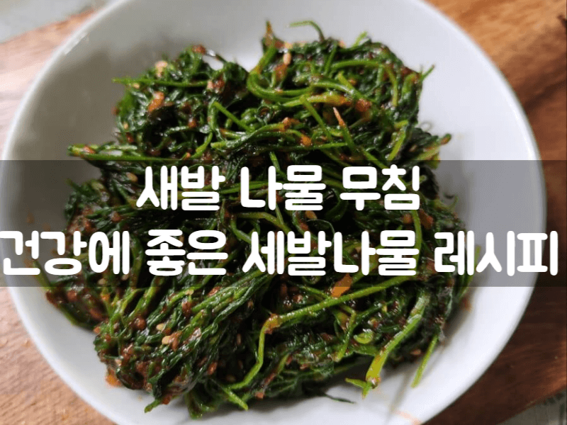 집밥 반찬 세발나물 무침 만드는 법 봄산나물 레시피