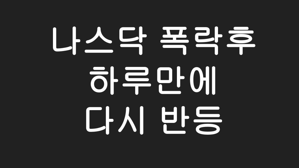  [미국주식] 나스닥 폭락 후 다시 하루만에 반등? 이유는?