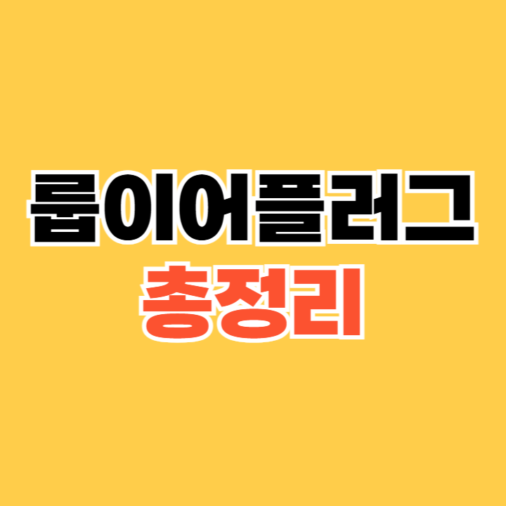 룹이어플러그 후기
