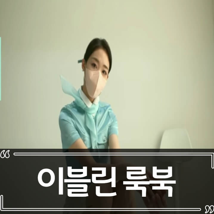  승무원 룩북 이블린 (이뻐서) 논란 총정리