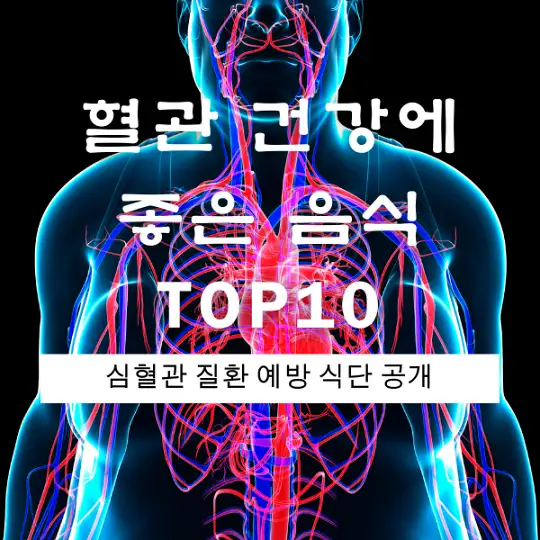 혈관 건강에 좋은 음식 TOP10