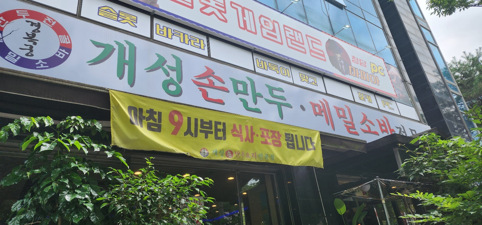  평택에 만두 맛집 개성손만두 평택점