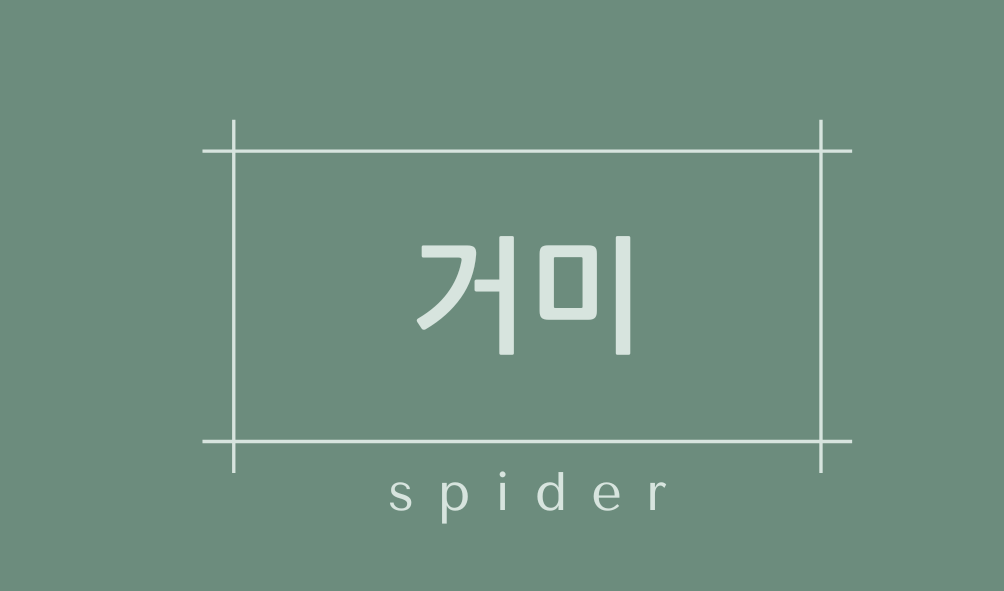 거미(spider)특징,서식지,종류,천적,수명,몸무게,꿈해몽